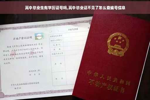 高中毕业生有学历证号吗,高中毕业证不见了怎么查编号信息