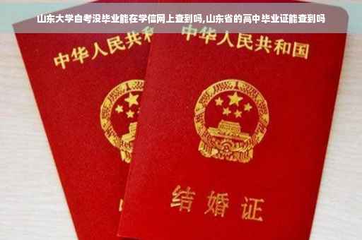 山东大学自考没毕业能在学信网上查到吗,山东省的高中毕业证能查到吗