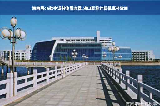 海南用ca数字证书使用流程,海口职称计算机证书查询