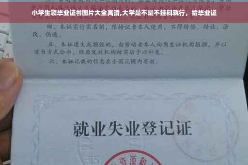 小学生领毕业证书图片大全高清,大学是不是不挂科就行，给毕业证