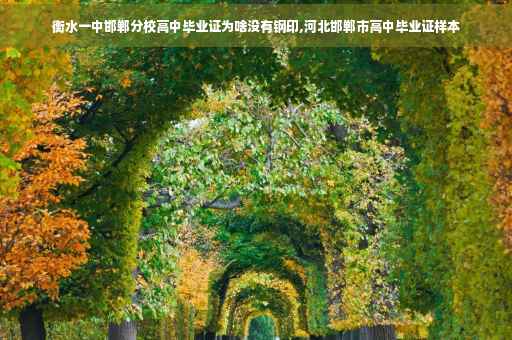 衡水一中邯郸分校高中毕业证为啥没有钢印,河北邯郸市高中毕业证样本