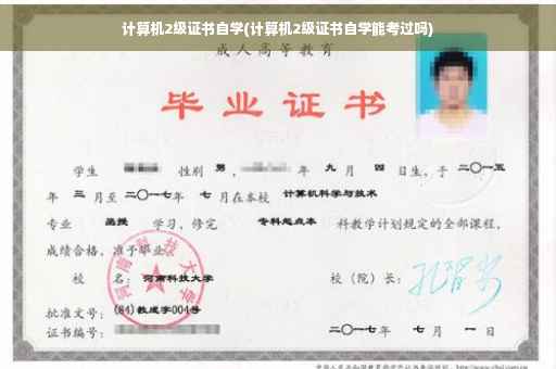 计算机2级证书自学(计算机2级证书自学能考过吗)