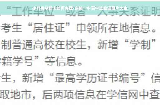 小升初学籍卡如何办理-东城一中高中毕业证图片大全