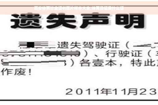 西安体育毕业证书图片样本大全,体育员证是什么证