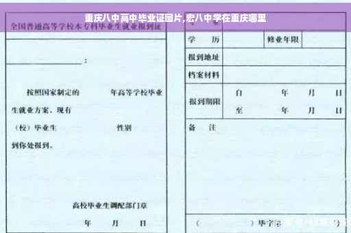 重庆八中高中毕业证图片,宏八中学在重庆哪里
