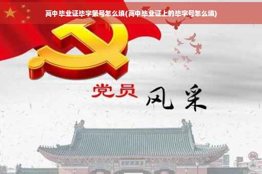 高中毕业证毕字第号怎么填(高中毕业证上的毕字号怎么填)