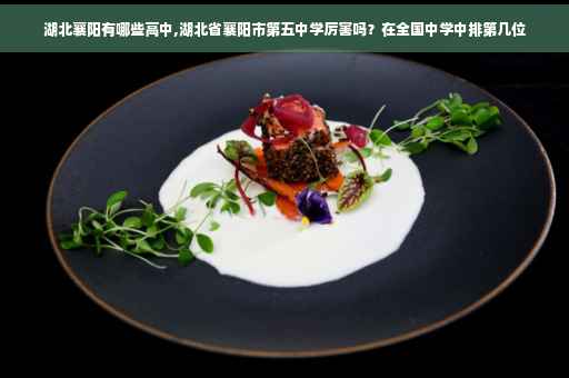 湖北襄阳有哪些高中,湖北省襄阳市第五中学厉害吗？在全国中学中排第几位