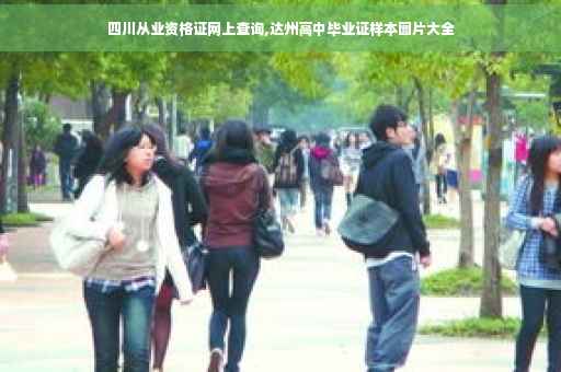 四川从业资格证网上查询,达州高中毕业证样本图片大全