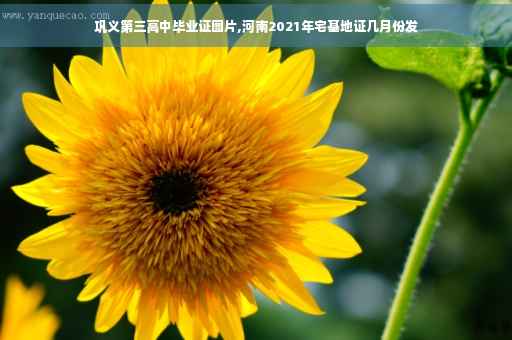 巩义第三高中毕业证图片,河南2021年宅基地证几月份发