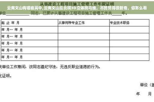 云南文山有哪些高中,云南文山丘北现3D立体斑马线，市民觉得很新奇，你怎么看