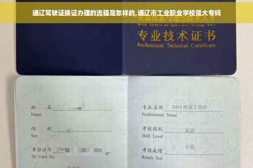 通辽驾驶证换证办理的流程是怎样的,通辽市工业职业学校是大专吗