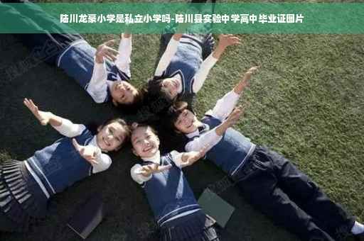 陆川龙豪小学是私立小学吗-陆川县实验中学高中毕业证图片