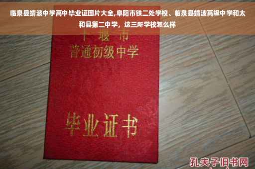 临泉县靖波中学高中毕业证图片大全,阜阳市铁二处学校、临泉县靖波高级中学和太和县第二中学，这三所学校怎么样