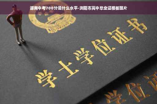 湖南中考700分是什么水平-浏阳市高中毕业证模板图片