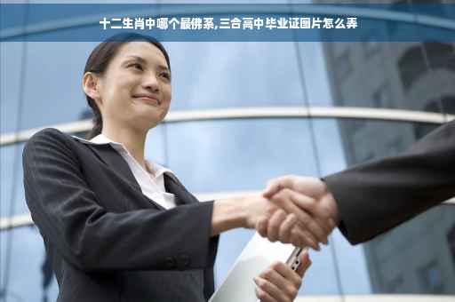 十二生肖中哪个最佛系,三合高中毕业证图片怎么弄