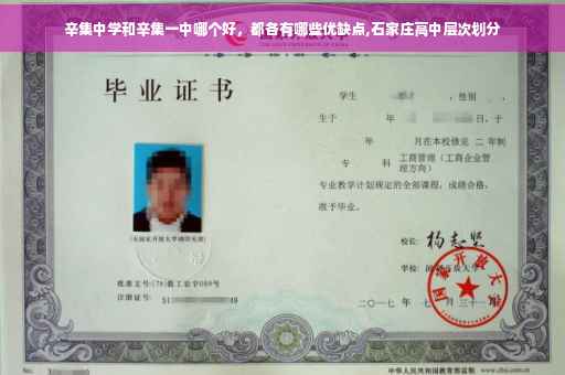 辛集中学和辛集一中哪个好，都各有哪些优缺点,石家庄高中层次划分