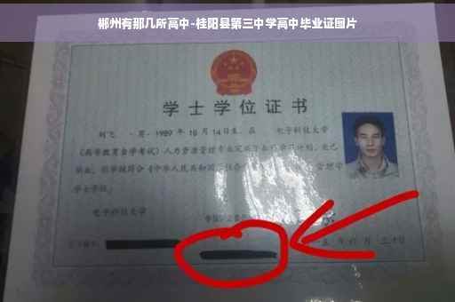 郴州有那几所高中-桂阳县第三中学高中毕业证图片