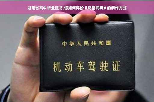 湖南省高中毕业证书,你如何评价《马桥词典》的创作方式