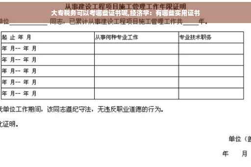 大专税务可以考哪些证书呢,经济学：有哪些实用证书