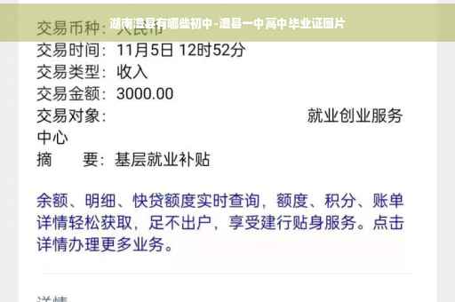 湖南澧县有哪些初中-澧县一中高中毕业证图片