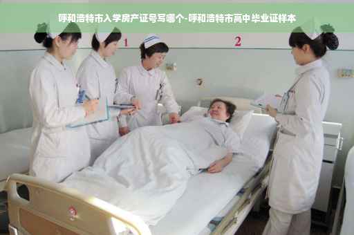 呼和浩特市入学房产证号写哪个-呼和浩特市高中毕业证样本