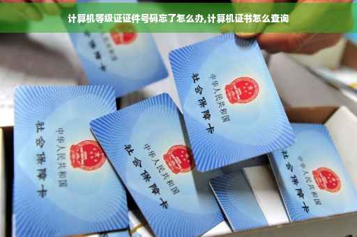 计算机等级证证件号码忘了怎么办,计算机证书怎么查询