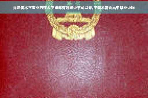 我是美术学专业的在大学里都有哪些证书可以考,学美术需要高中毕业证吗