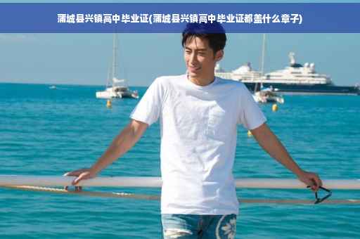 蒲城县兴镇高中毕业证(蒲城县兴镇高中毕业证都盖什么章子)
