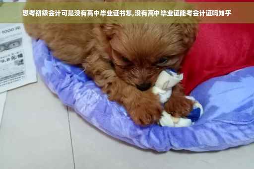 想考初级会计可是没有高中毕业证书怎,没有高中毕业证能考会计证吗知乎