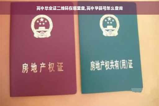 高中毕业证二维码在哪里查,高中学籍号怎么查询