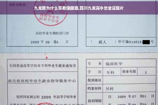 九龙醉为什么写着保健酒,四川九龙高中毕业证图片