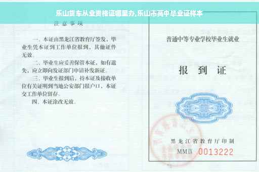 乐山货车从业资格证哪里办,乐山市高中毕业证样本