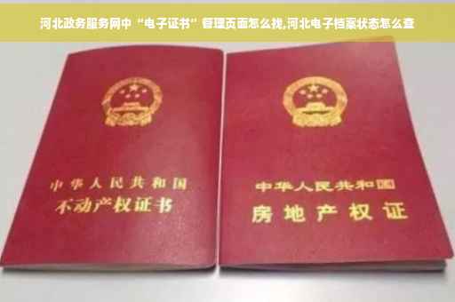 河北政务服务网中“电子证书”管理页面怎么找,河北电子档案状态怎么查