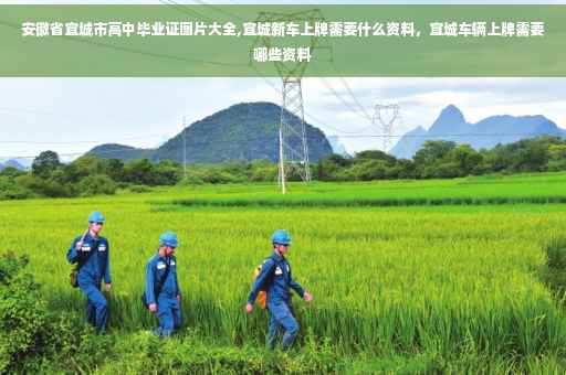 安徽省宣城市高中毕业证图片大全,宣城新车上牌需要什么资料，宣城车辆上牌需要哪些资料