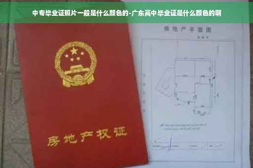 中专毕业证照片一般是什么颜色的-广东高中毕业证是什么颜色的啊