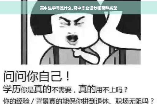 高中生学号是什么,高中毕业证分哪两种类型