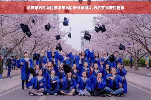 重庆市石柱县民族中学高中毕业证图片,石柱在重庆的哪里