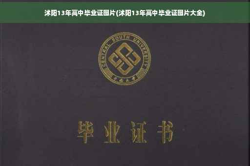 沭阳13年高中毕业证图片(沭阳13年高中毕业证图片大全)