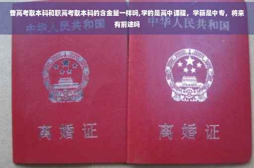 普高考取本科和职高考取本科的含金量一样吗,学的是高中课程，学籍是中专，将来有前途吗