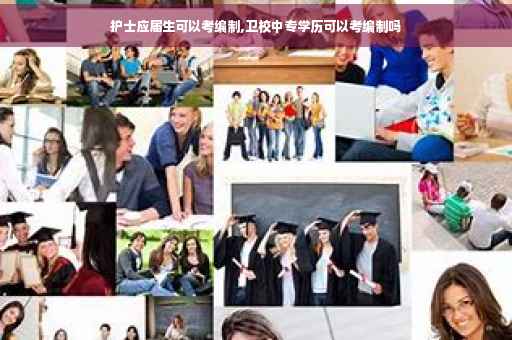 护士应届生可以考编制,卫校中专学历可以考编制吗