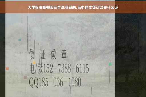 大学报考哪些要高中毕业证的,高中的文凭可以考什么证