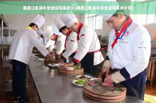 黑龙江省高中毕业证号是多少(黑龙江省高中毕业证号是多少号)