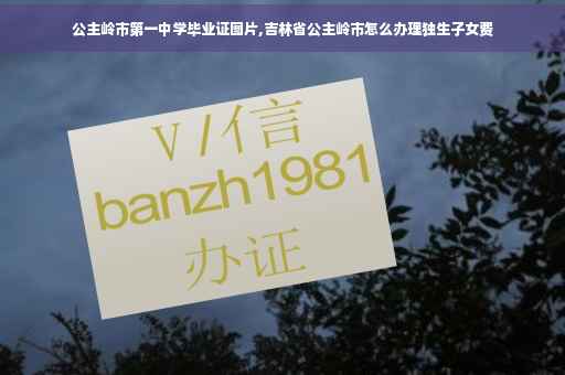 公主岭市第一中学毕业证图片,吉林省公主岭市怎么办理独生子女费
