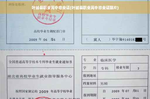叶城县职业高中毕业证(叶城县职业高中毕业证图片)