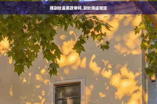 提副处需要政审吗,副处提拔规定