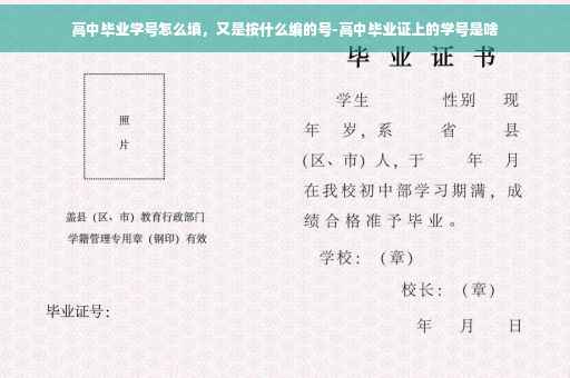 高中毕业学号怎么填，又是按什么编的号-高中毕业证上的学号是啥