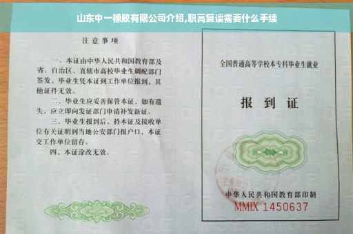 山东中一橡胶有限公司介绍,职高复读需要什么手续