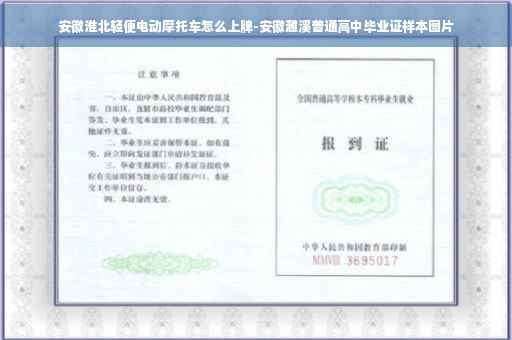 安徽淮北轻便电动摩托车怎么上牌-安徽濉溪普通高中毕业证样本图片