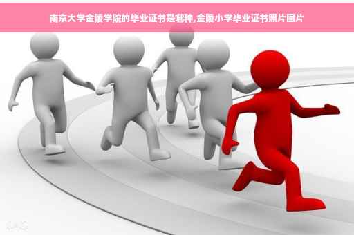 南京大学金陵学院的毕业证书是哪种,金陵小学毕业证书照片图片