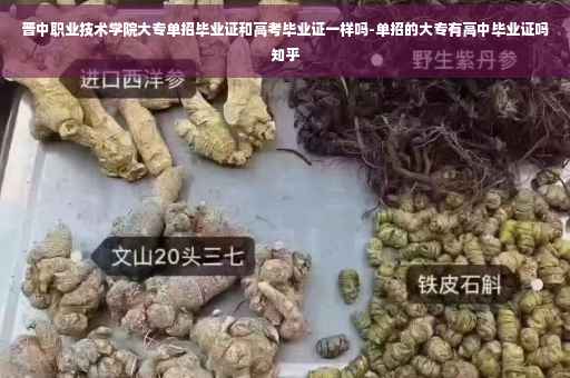 晋中职业技术学院大专单招毕业证和高考毕业证一样吗-单招的大专有高中毕业证吗知乎